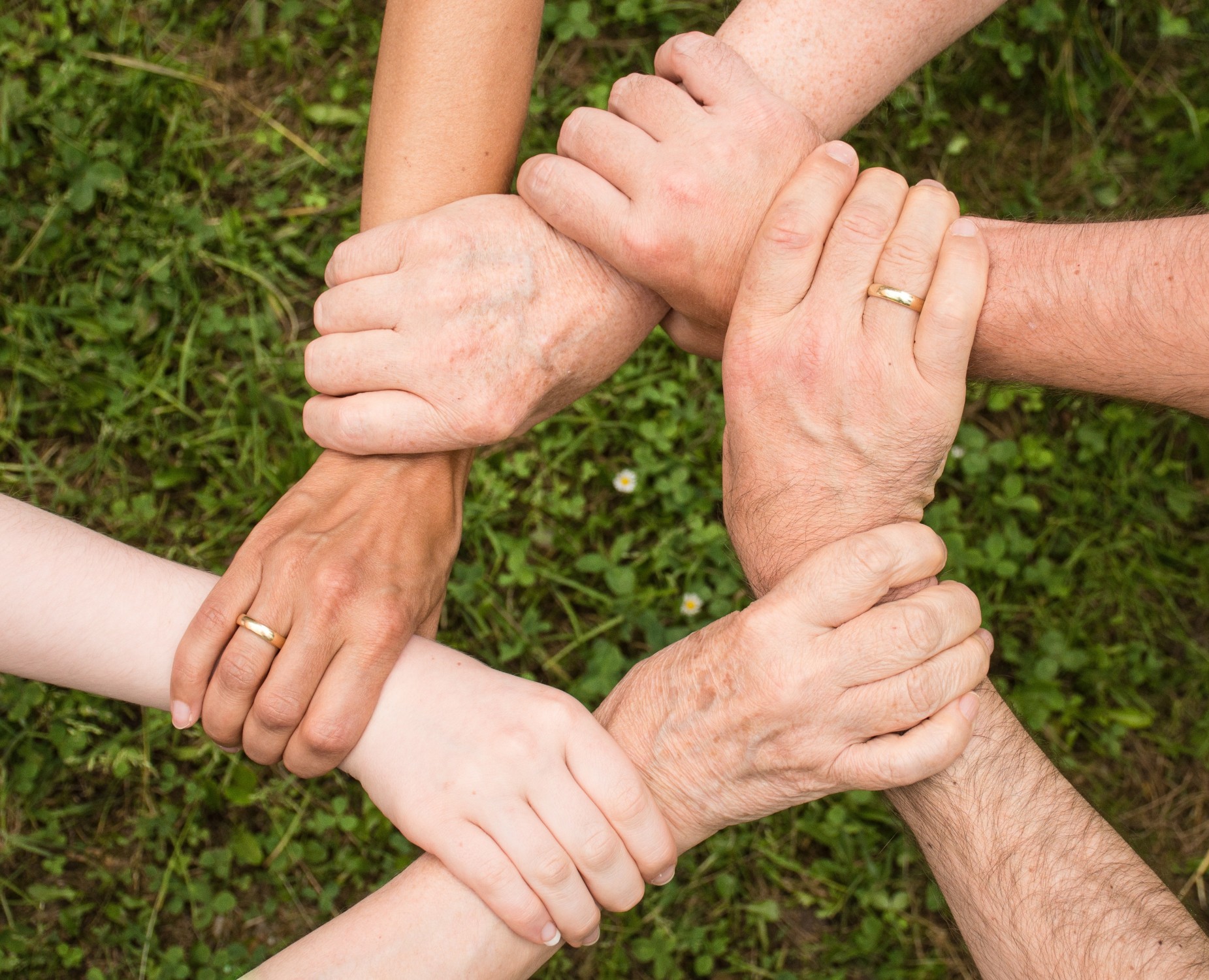 Is the dedicated system a panacea for insurance business?